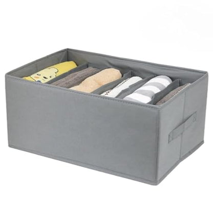 Easy Sort Compartment Organizer