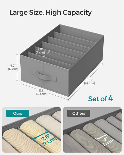 Easy Sort Compartment Organizer